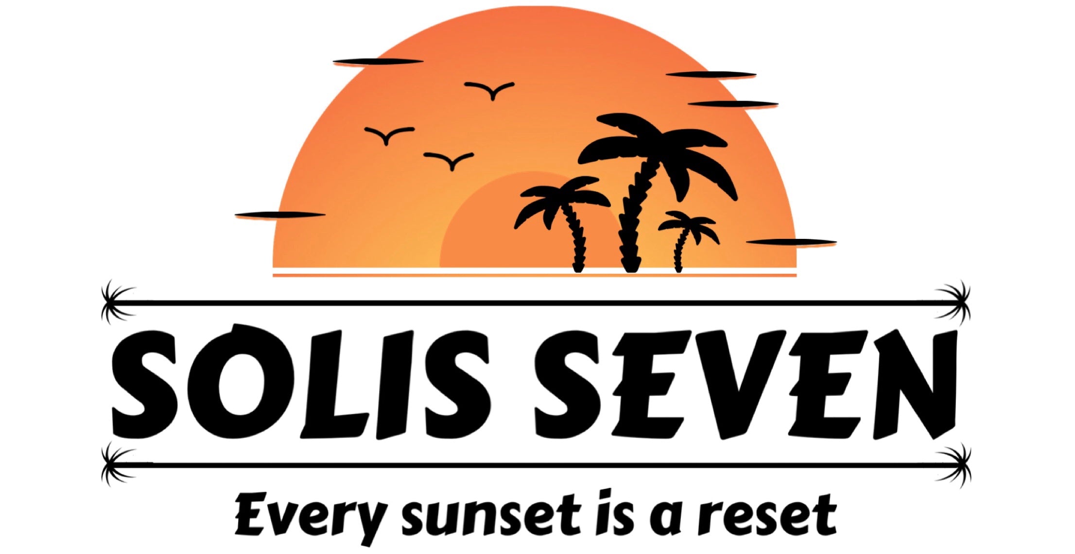 送料無料 いつまで Solis Seven 塊根植物・コーデックス